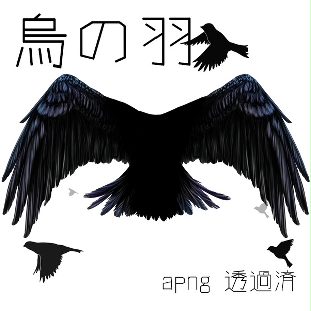 烏の羽素材 - Krik Krik Krak - BOOTH