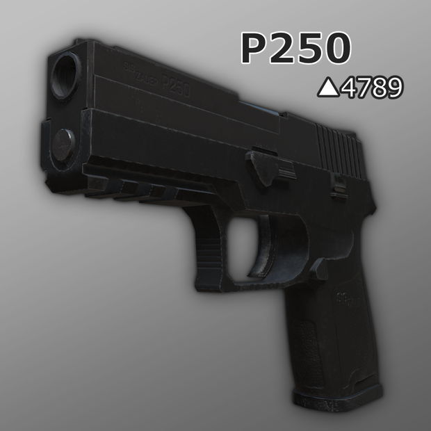 P250【Unity対応　/　.fbx形式】