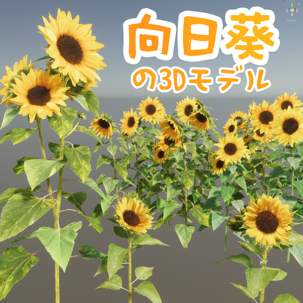 ひまわりの３Dモデル