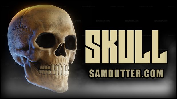 SKULL : VRChat / Unity Prop