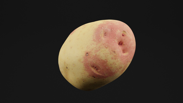 Potato Vegetable