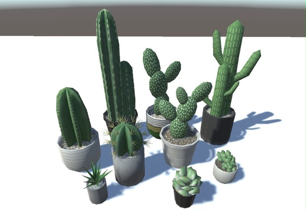 観葉植物（サボテン）