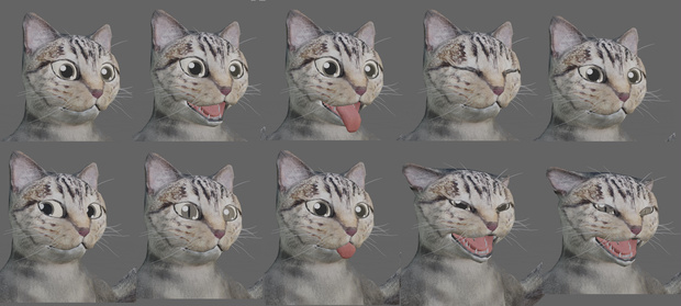 猫(ヒューマノイド型)データ 