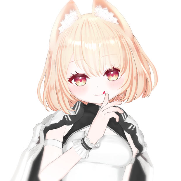 オリジナル3Dモデル(Rio)