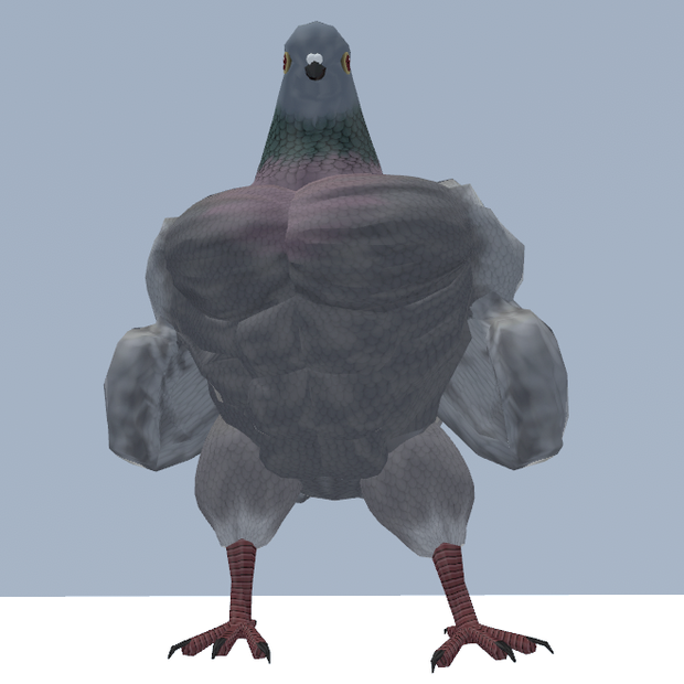 胸鳩