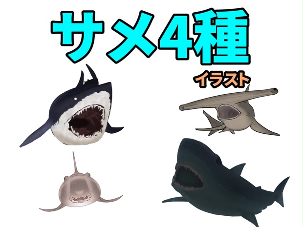 サメ4種 イラスト いろは 旧 脳缶いろは Booth