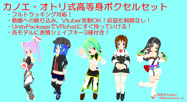 カノエ・オトリ式高等身ボクセルセット