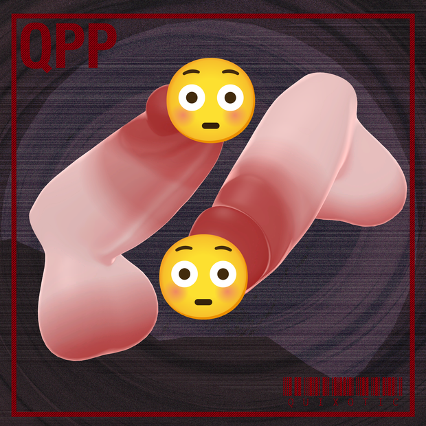 QPP 3Dモデル