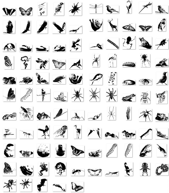 生物と動き：All-in-oneブラシセット ABR/SUT/PNG – 100点