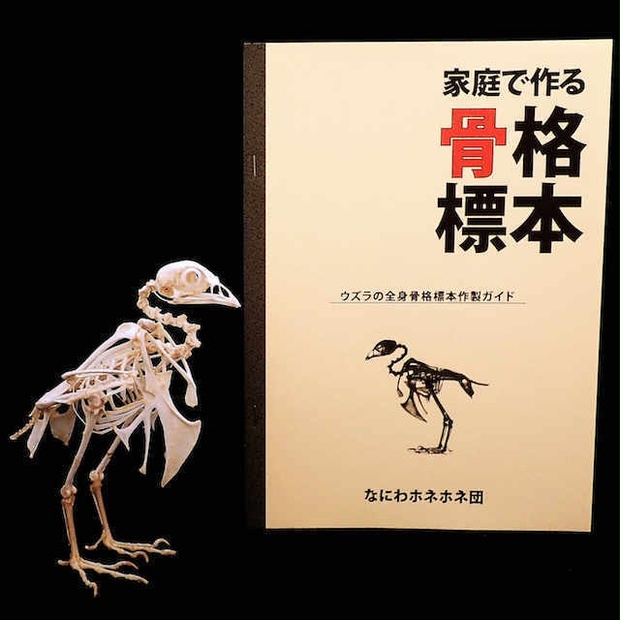 「家庭で作る骨格標本」ウズラの全身骨格標本作製ガイド - なにわ