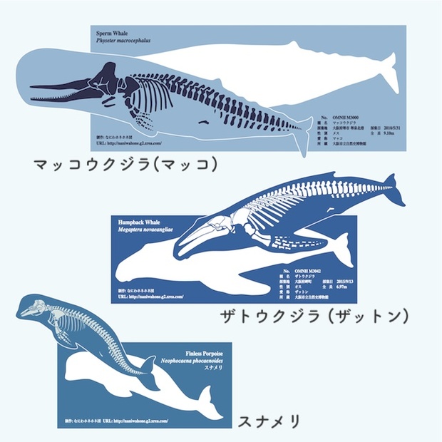 クジラのステッカー