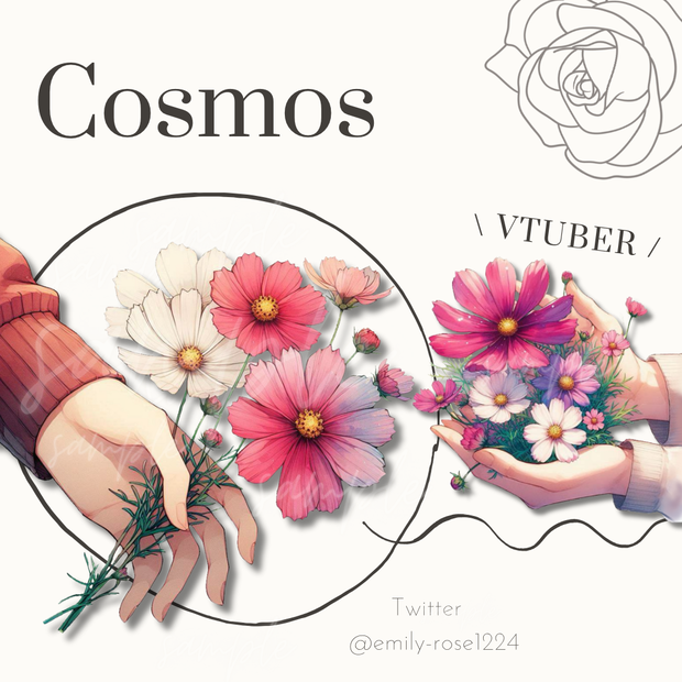 【VTuber向け】秋桜を持つ手 / Cosmos /コスモス〈透過png〉※無料あり