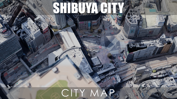 Shibuya MAP 渋谷駅【3Dモデル 3DModel】