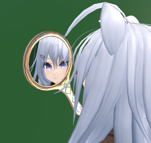Your Avi's Portable Mirror