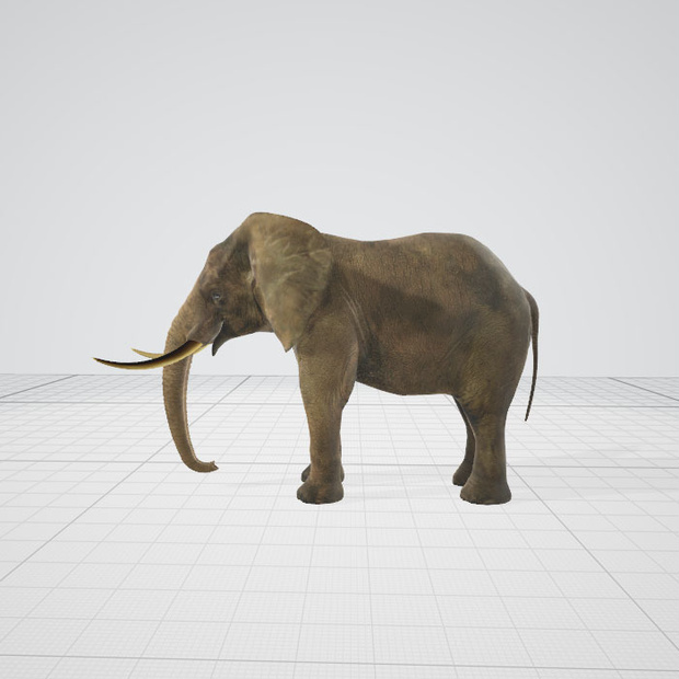 ゾウ　3d