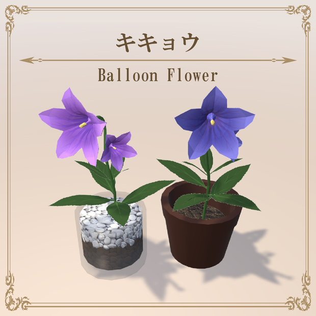 キキョウ / BalloonFlower