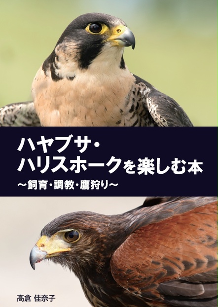 ハヤブサ ハリスホークを楽しむ本 飼育 調教 鷹狩り ハヤブサ ハリスホークを楽しむ本 飼育 調教 鷹狩り Booth