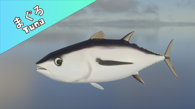 【Blender】マグロ｜Tuna