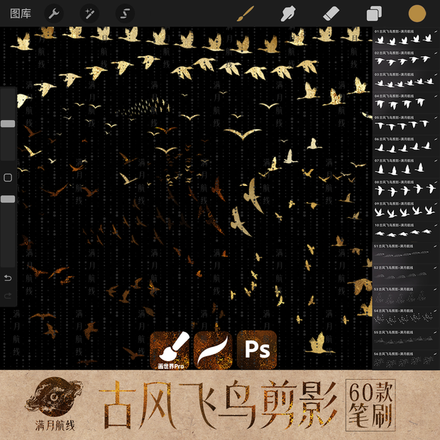 C007中式飞鸟剪影笔刷 60款中式复古飞鸟成群csp/ps/procreate笔刷