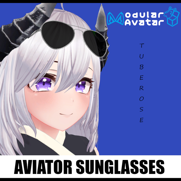 アビエーターサングラス / Aviator Sunglasses