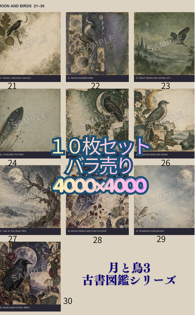 月と鳥3_古書図鑑シリーズ
