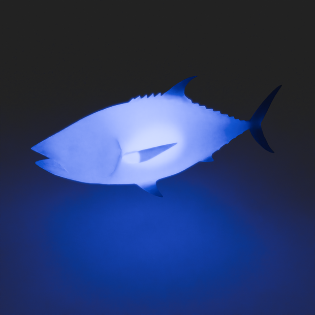 【Blender】 マグロの間接照明 Tuna indirect lighting