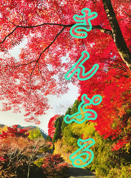 【背景. 印刷 Web素材.    B5   A4 】❻