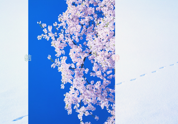 【背景. 印刷 Web素材.    B5   A4 】㉒