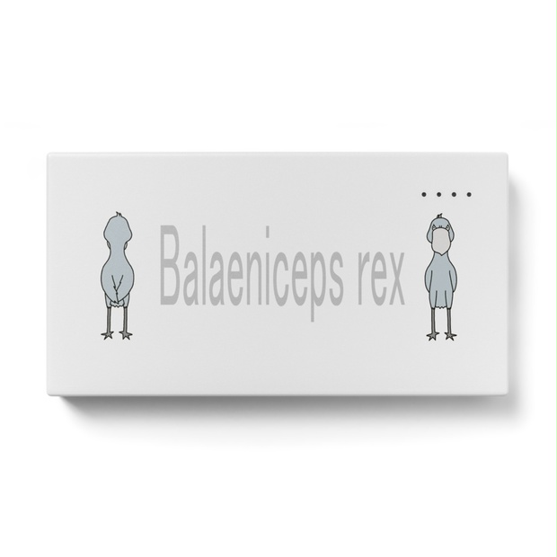 ハシビロコウモバイルバッテリー Balaeniceps Rex ｐｉｙｏの店 Booth