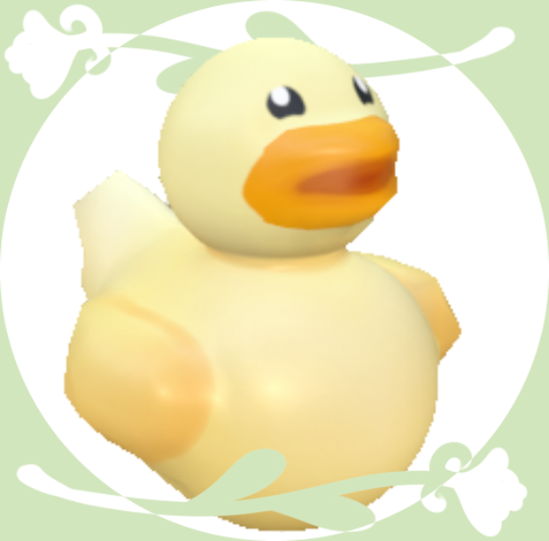 Duck