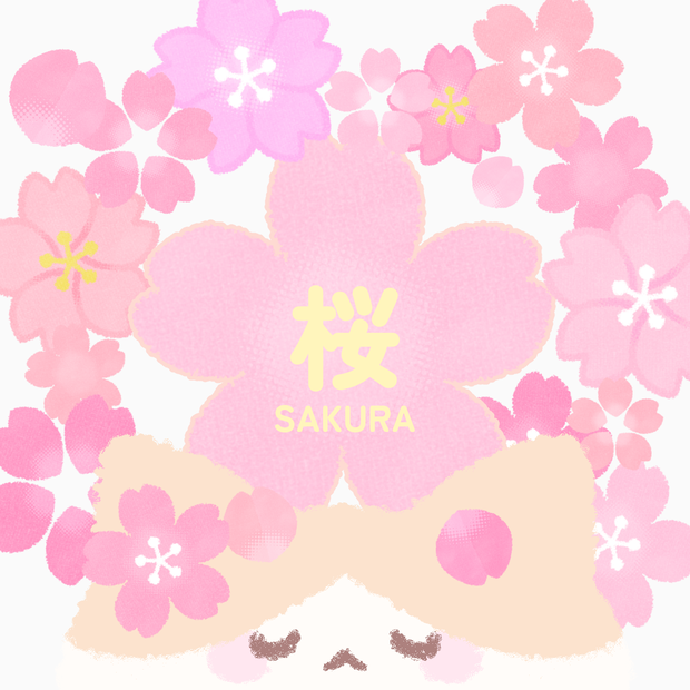 【イラスト素材】桜【20種類】