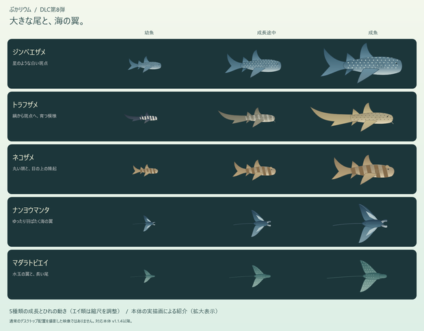 【ぷかリウム DLC】サメとエイパック