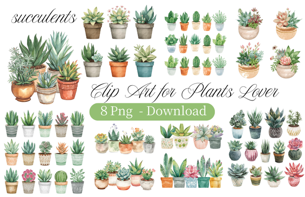 Botanical Succulents – 多肉植物
