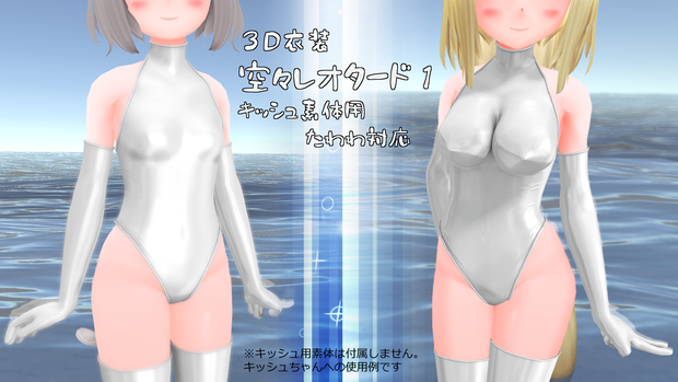3D衣装「空々 レオタード１」【キッシュ素体用】