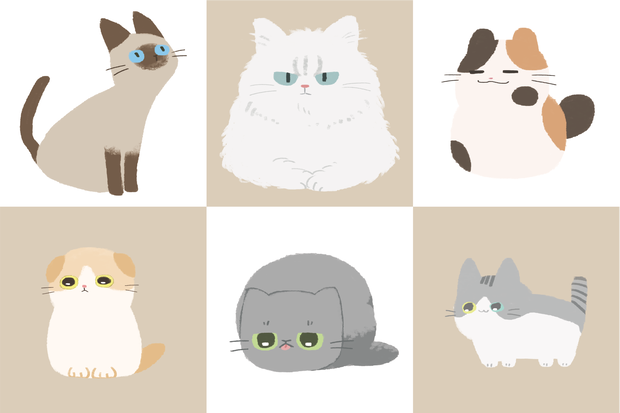 猫素材【全6種】