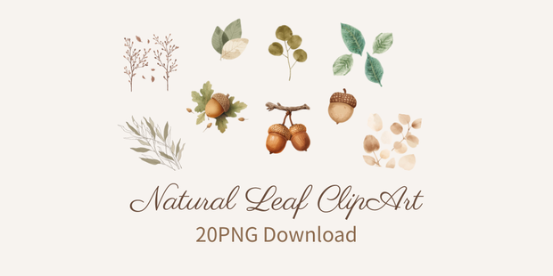 Natural Leaf & Acorn Clipart Set（ナチュラルリーフ＆どんぐり素材集）20PNG