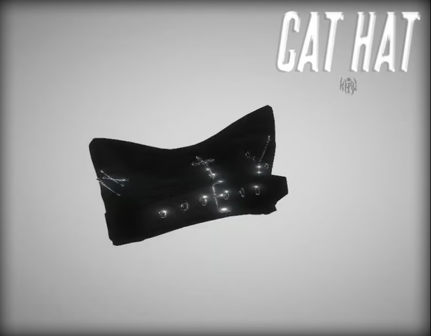 ☆ "cat hat"