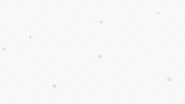 舞うさくらの花びら　動画素材