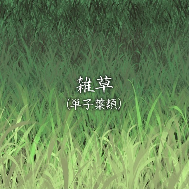 雑草（単子葉類）