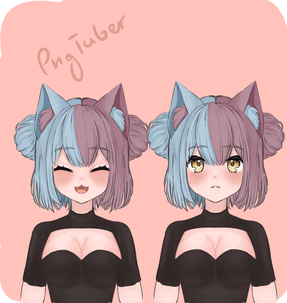 Cute-catgirl【PNGTuber】vtuber , stream avatar
