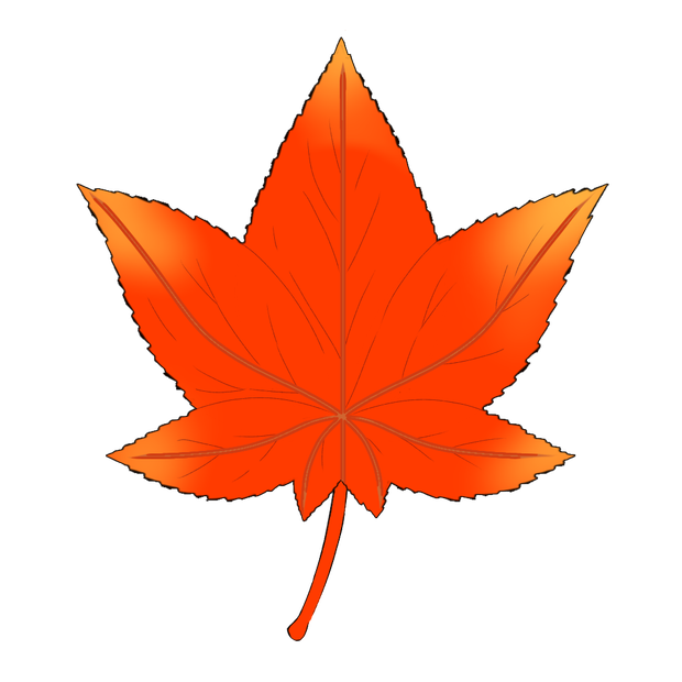 紅葉 フリー素材