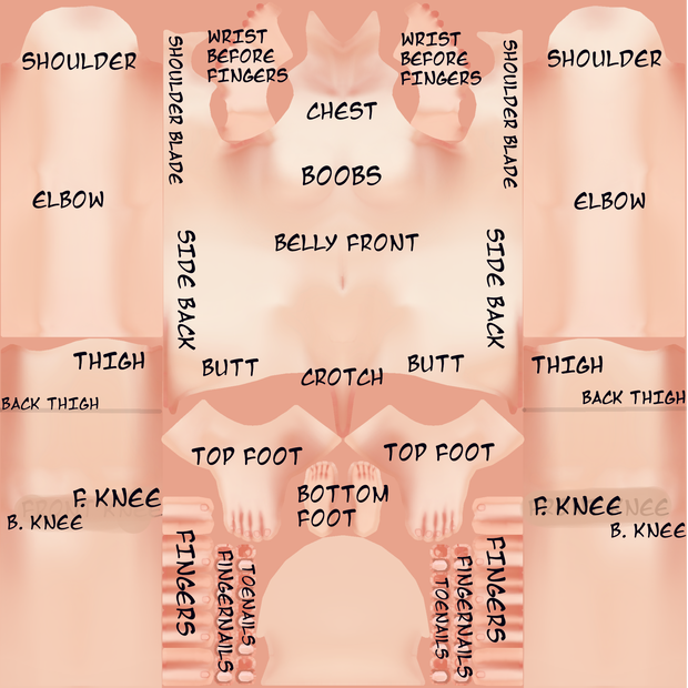 *FREE* Labelled Female Body VROID texture