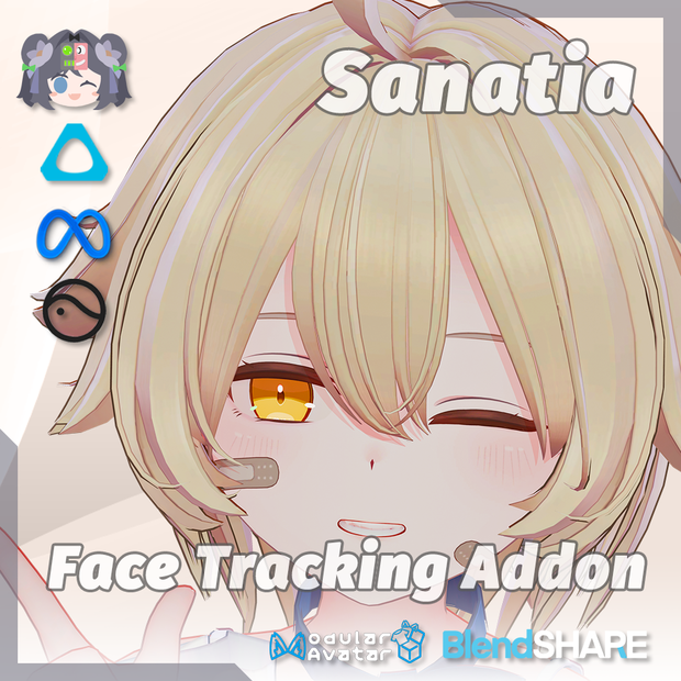 Sanatia(サナティア) Face Tracking Addon
