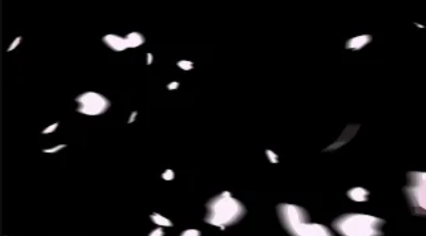 hanabira(pinku)_透過APNG
