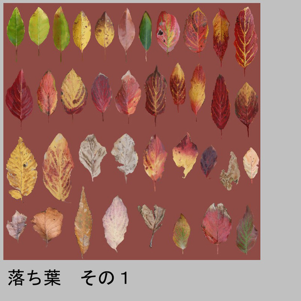 「落ち葉」【テクスチャー】