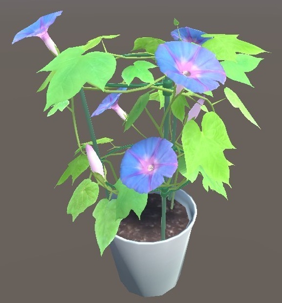 「朝顔」【3Dモデル】