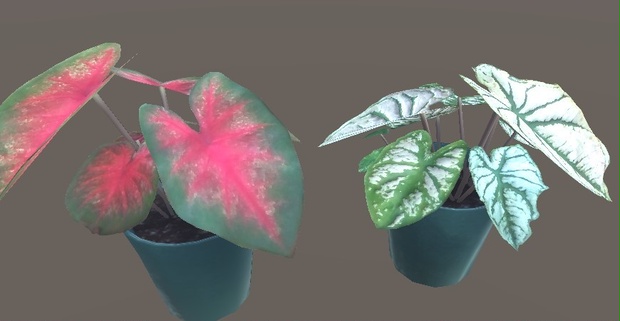 「カラジウム」【3Dモデル】