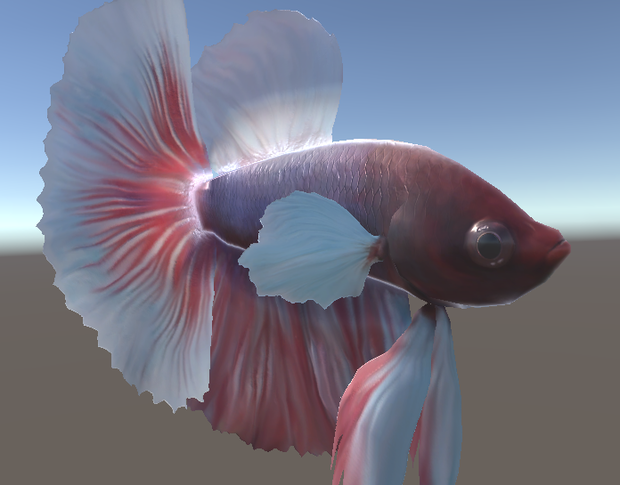 「ベタ（トウギョ）」【3Dモデル】
