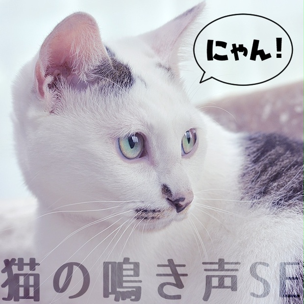 無料/投げ銭】猫の声‐ニャーン5種【SE素材】 - 猫を信仰せよ - BOOTH