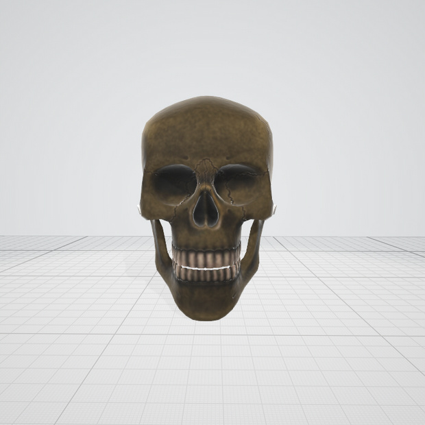 【3dモデル】骸骨　がいこつ